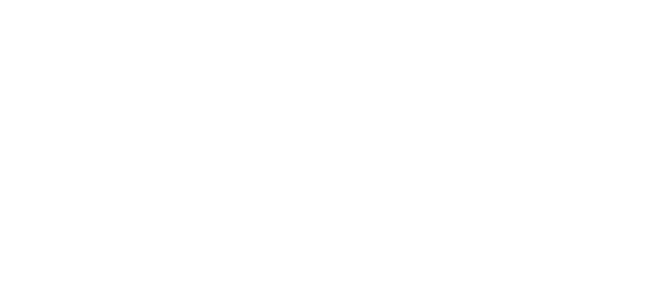 Adi Logo